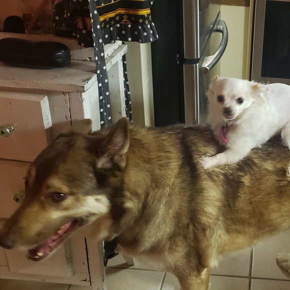 Open to offers and trades! Don't be shy 😊💕 - Picture 7 of 9